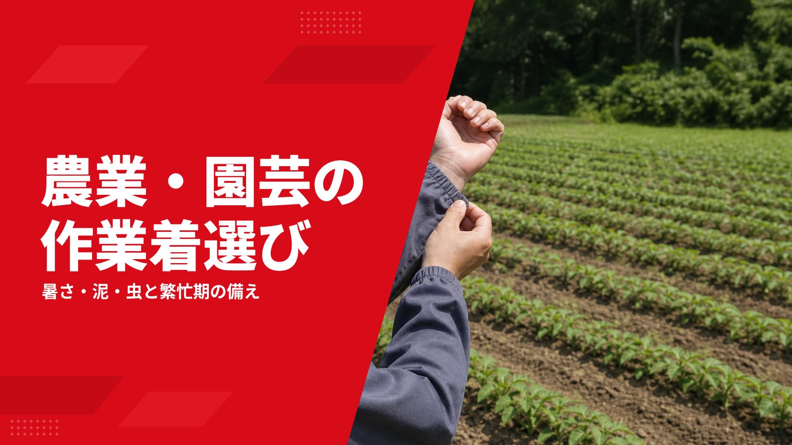 農業・園芸の作業着の選び方|日射・泥・虫と繁忙期の備え